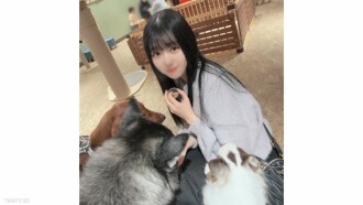小封面