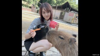 小封面